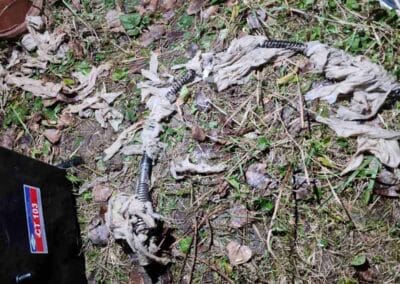 Duguláselhárítás Budapest