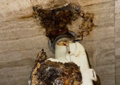 Duguláselhárítás Budapest